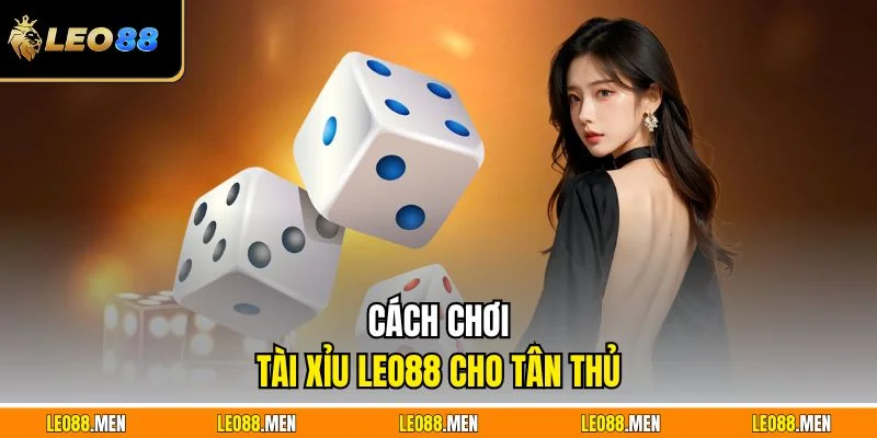Cách chơi tài xỉu LEO88 cho tân thủ