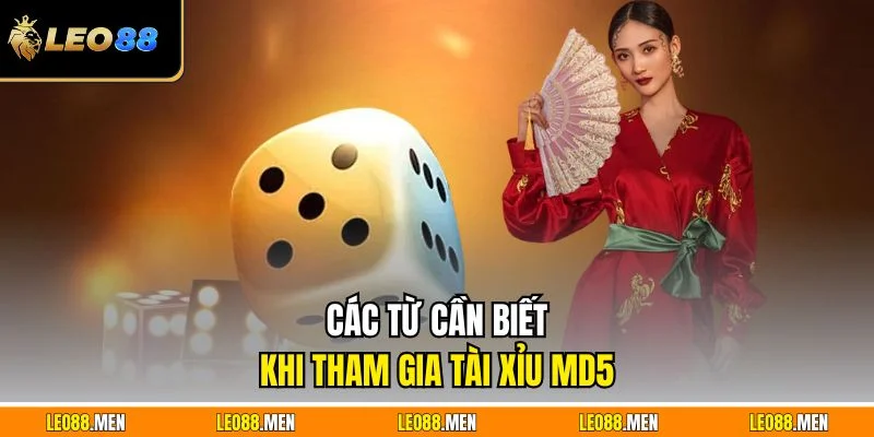 Các từ cần biết khi tham gia tài xỉu md5